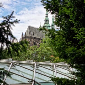 Úvodní Královská Zahrada 6