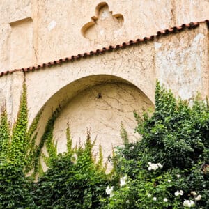 Úvodní Vojanovy Sady